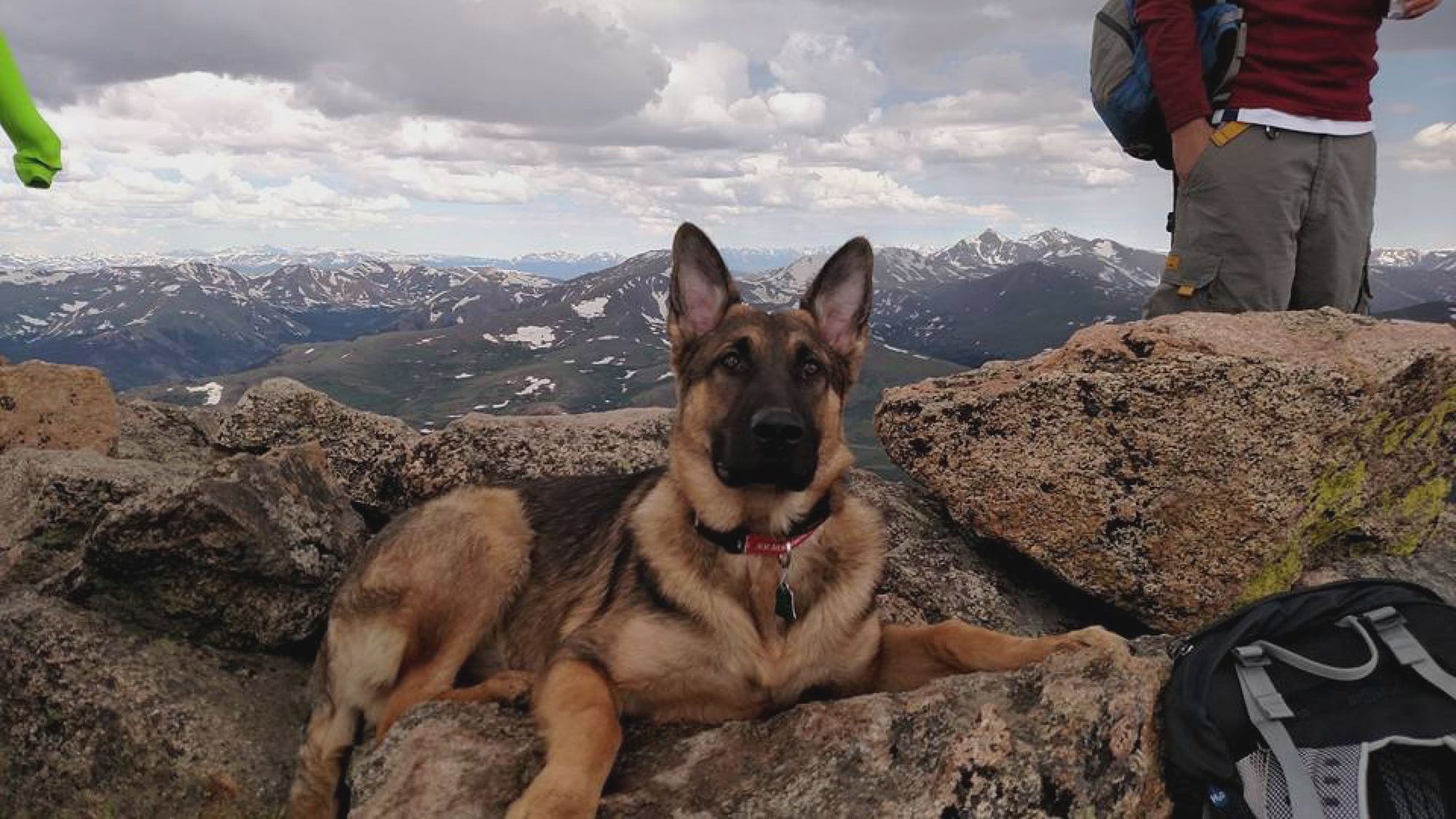 german shepherd hiking